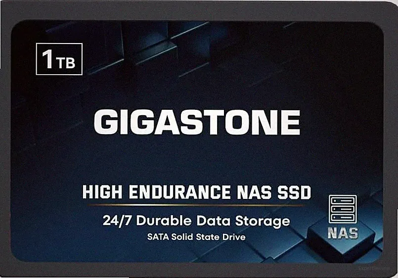Gigastone 1TB NAS SSD Drive 24/7 Durable High Endurance RAID Data Storage Networ