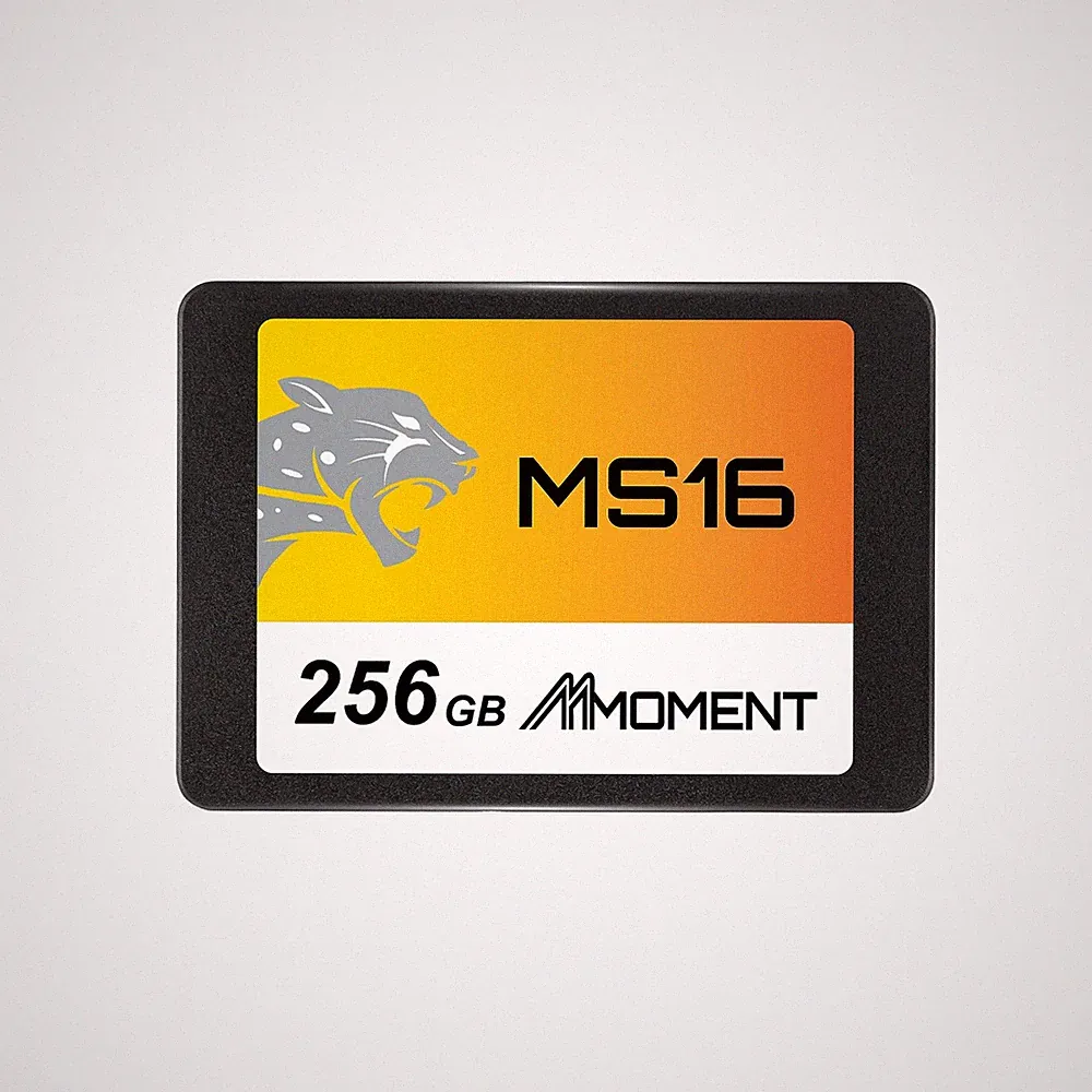 MMOMENT MS16 256GB 2.5 Inch SATA III 6 GB/s Internal Solid State Drive
