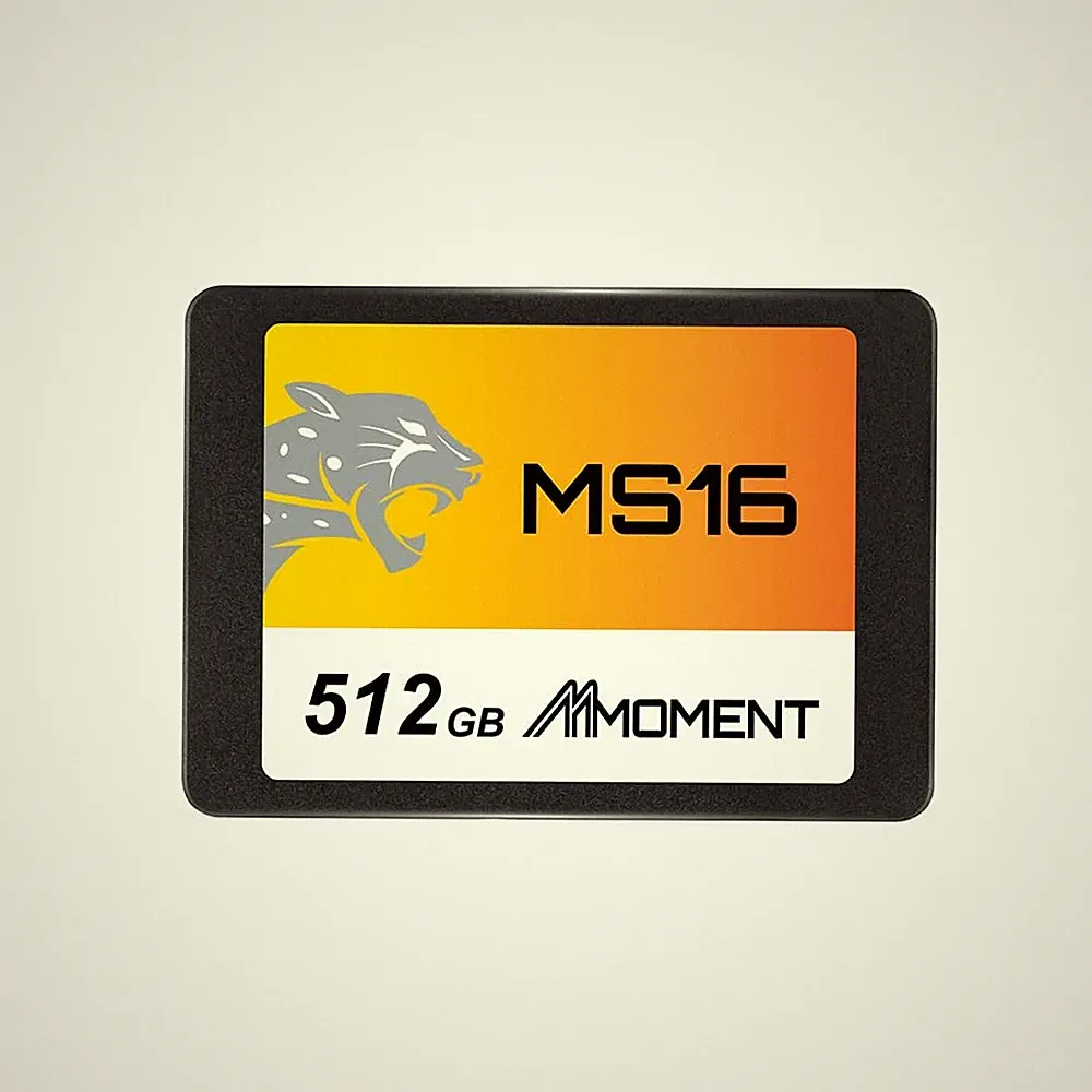 MS16 512GB 2.5 Inch SATA III 6 GB/s Internal Solid State Drive SSD (Read up t...