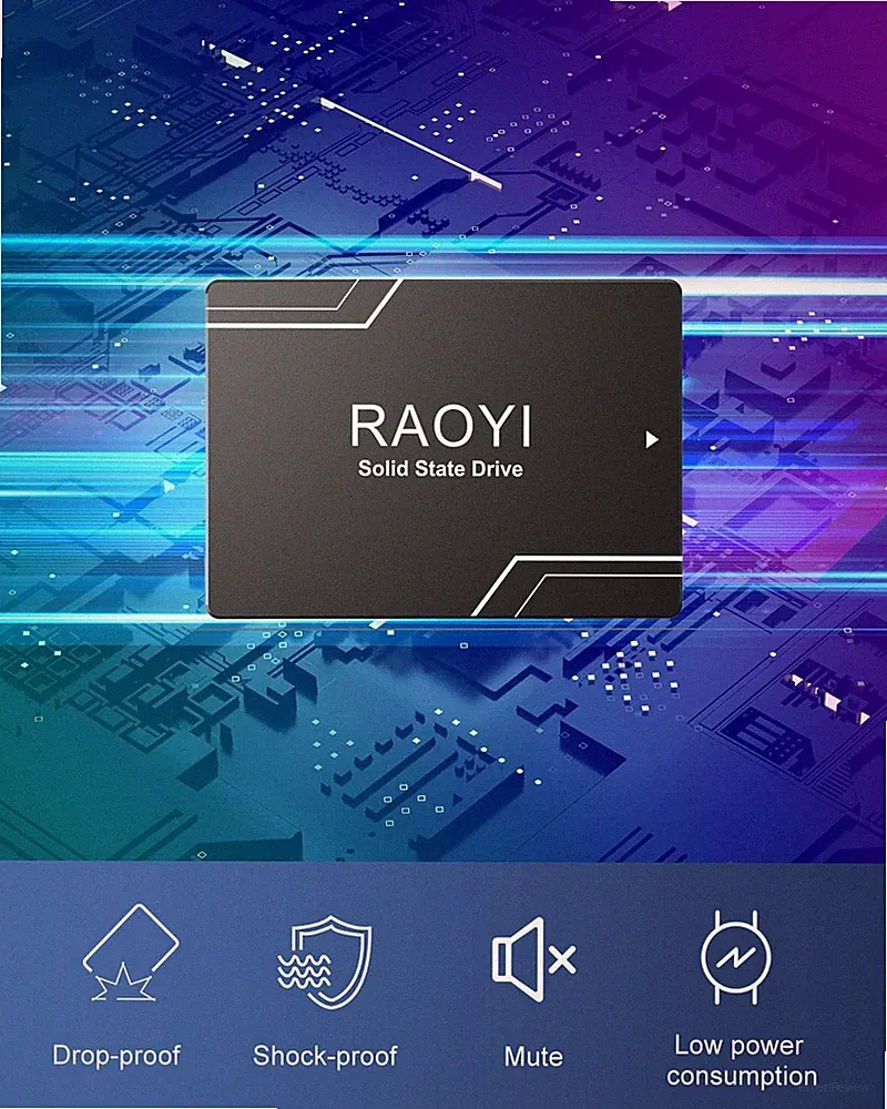 RAOYI 128GB Internal SSD 2.5'' SATA III 6Gb/s Solid State Drive High Speed Black